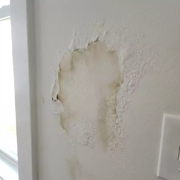Expert Drywall Water Damage Repair in Salinas, CA
