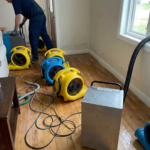 Water Mitigation Services in Salinas, CA