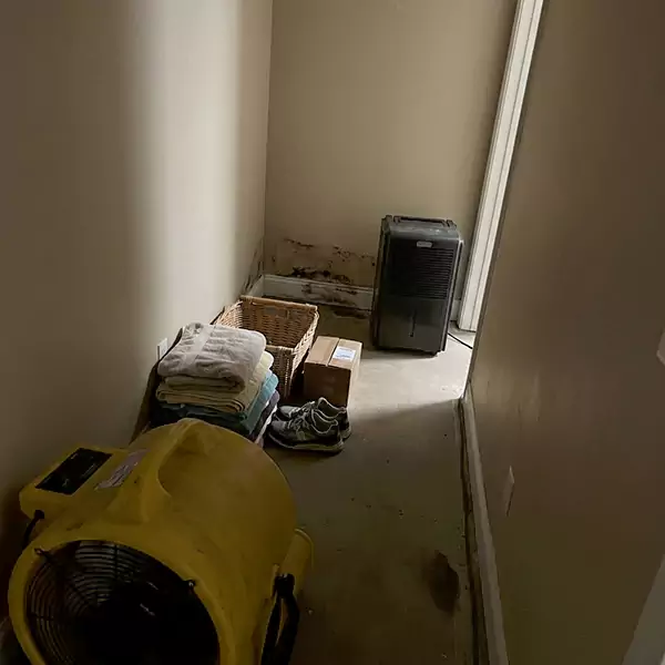 Expert Water Remediation in Salinas, CA 