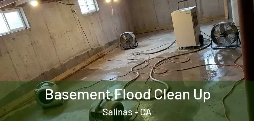  Basement Flood Clean Up Salinas - CA