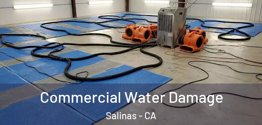  Commercial Water Damage Salinas - CA