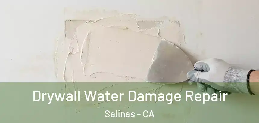  Drywall Water Damage Repair Salinas - CA