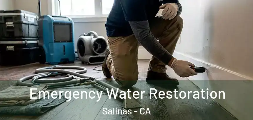  Emergency Water Restoration Salinas - CA