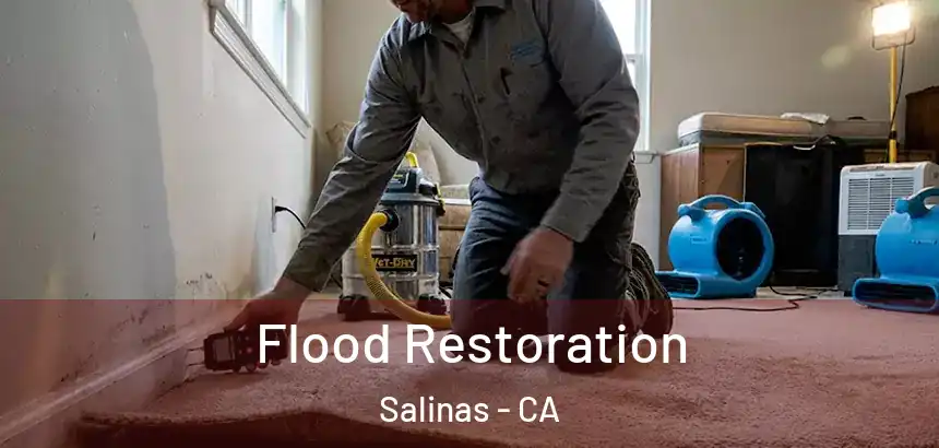  Flood Restoration Salinas - CA
