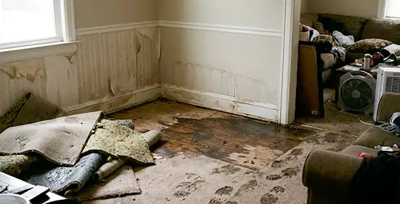 Why Choose Salinas Water Damage Restoration For Water Damage Restoration Services in Salinas, CA?