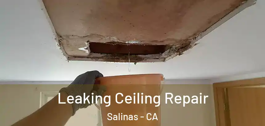  Leaking Ceiling Repair Salinas - CA