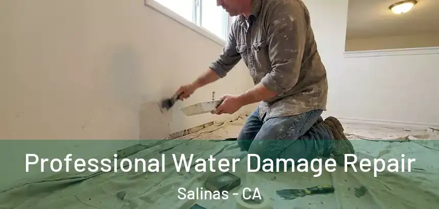  Professional Water Damage Repair Salinas - CA