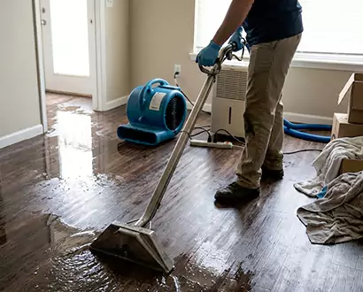 Flood Restoration in Salinas