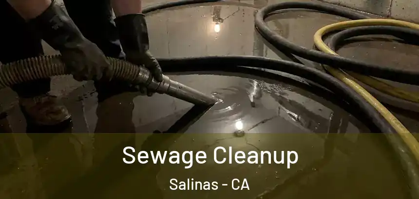  Sewage Cleanup Salinas - CA