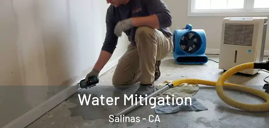  Water Mitigation Salinas - CA