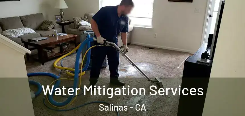  Water Mitigation Services Salinas - CA